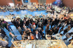 2026-04-02-Feria-Minerales-La-Union-JRC-3