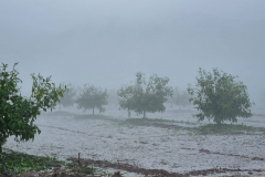 2022-05-02-Granizo-en-Pliego-PIÑERO-2