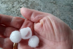 2022-05-02-Granizo-en-Pliego-PIÑERO-3