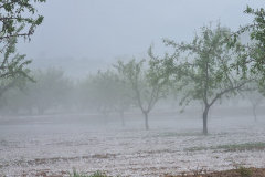 2022-05-02-Granizo-en-Pliego-PIÑERO-4