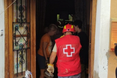 2022-09-26-Lluivas-Javali-Viejo-06