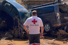 2022-09-26-Lluivas-Javali-Viejo-12