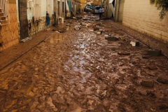 2022-09-26-Lluivas-Javali-Viejo-13