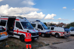 2022-09-26-Lluivas-Javali-Viejo-14