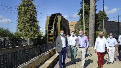 Photo of Remodelarán el entorno de la Noria de La Ñora con sendas y jardines
