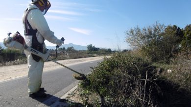 Photo of Comienzan las tareas de desbroce de las márgenes del carril bici