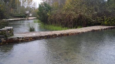 Photo of El cambio de mentalidad desde el Evangelio