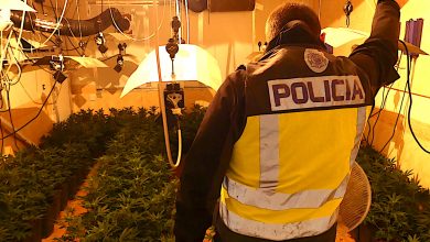 Photo of La Policía acude al desahucio en una vivienda y encuentra dos plantaciones de marihuana en las habitaciones