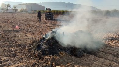 Photo of Nuevas denuncias por quema de podas agrícolas en Sangonera la Seca