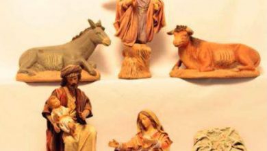 Photo of Reflexión dominical: La protección de los débiles desde la familia cristiana