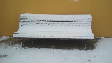 Photo of Fotogalería: nevadas en el Noroeste y riesgo de heladas en Alcantarilla