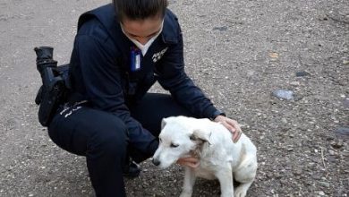 Photo of Una agente de policía adopta un perro abandonado tras el llamamiento en redes sociales de Salva Ortega