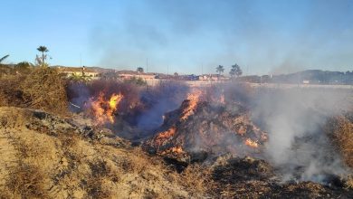 Photo of Agricultura mantiene la prohibición de quemar rastrojos y restringe las excepciones
