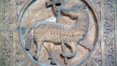 Photo of Reflexión dominical. Seguidores del Cordero, Maestro y Mesías