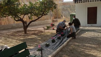 Photo of Abierto el plazo de inscripción para los cursos de atención sociosanitaria, jardinería y construcción