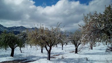 Photo of Fotogalería. Nevada de San José en el Noroeste murciano