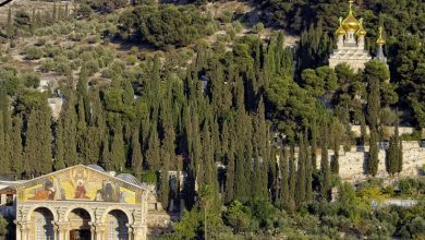 Photo of Reflexión dominical. Dios en el Crucificado Jesús