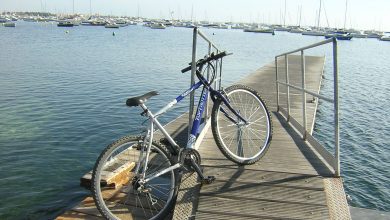 Photo of Reflexiones de un naturalista soñador. Qué lejos aquel Mar Menor idílico