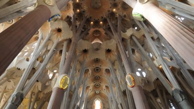 Photo of Reflexión dominical. El mandamiento nuevo del  amor