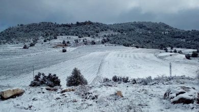 Photo of …Y marzo ‘marzeó’: el más frío en nueve años y con el triple de lluvia de lo habitual