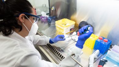 Photo of La Universidad de Murcia adapta sus laboratorios para hacer pruebas PCR
