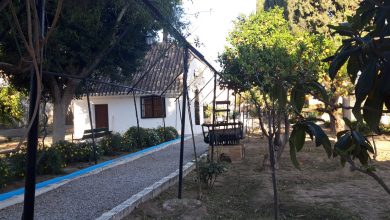 Photo of El Museo de la Huerta será rehabilitado y ampliado para convertirlo en “un centro cultural de primer orden”