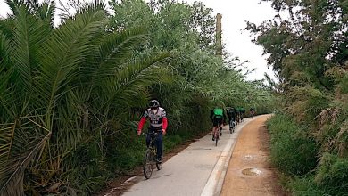 Photo of Las cañas invaden parte del recorrido del carril bici