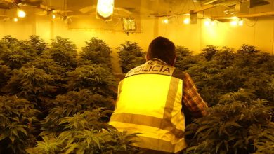 Photo of Macrooperación policial en dos edificios de Alcantarilla ocupados y dedicados al cultivo de marihuana