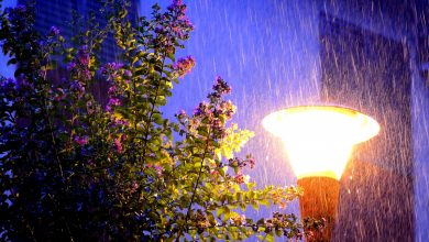 Photo of Vuelven las lluvias de abril durante toda la semana