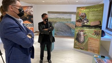 Photo of El Centro de Visitantes de La Contraparada acoge una exposición sobre galápagos