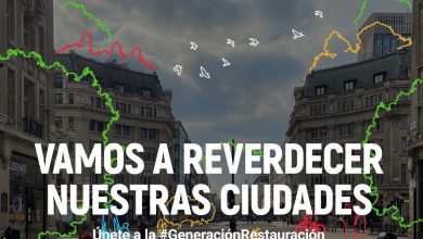 Photo of Talleres de bicicletas y plantación de árboles para que los escolares celebren el Día del Medio Ambiente