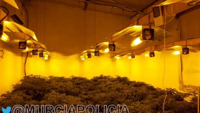 Photo of Detenido un hombre en Sangonera por agresión a sus padres, amenazas a su ex mujer y tener una plantación de marihuana