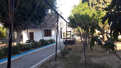 Photo of El Museo de la Huerta cierra sus puertas el 28 de junio por obras