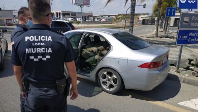 Photo of Sorprenden a un hombre quitando y cargando en su coche el césped artificial de una mediana