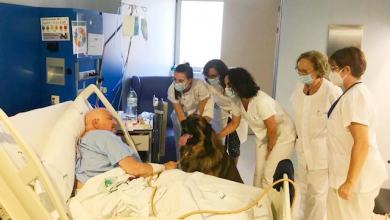 Photo of Pacientes con patologías severas y terminales podrán recibir a su mascota en el hospital