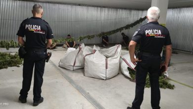 Photo of Detenidas 7 personas e incautados 200 kilos de marihuana en el sótano de un edificio de la calle Mayor