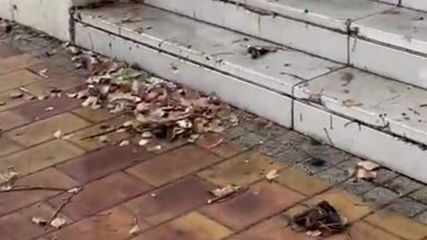 Photo of Vox pide que el Ayuntamiento compruebe si las filtraciones de agua en un edificio provienen de la red de riego