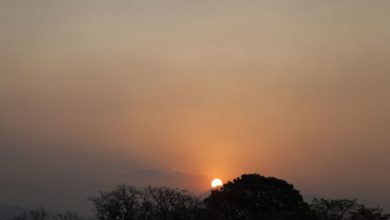 Photo of Sábado con nivel alto de polvo africano y domingo con alerta roja por hasta 44º C