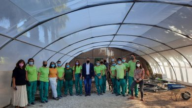 Photo of Catorce alumnos del programa de empleo en jardinería hacen prácticas en el Museo de la Huerta