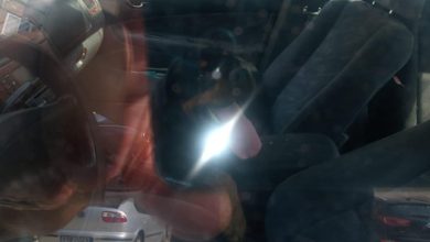 Photo of La Policía rescata a un perro de un coche al sol y denuncia a su dueño por maltrato animal