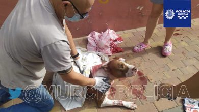 Photo of Detenido por apuñalar a un perro en la calle y amenazar con un machete a los policías