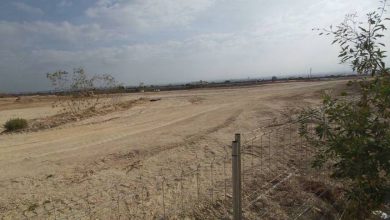 Photo of Ecologistas en Acción denuncia la destrucción de flora protegida en el parque San Andrés