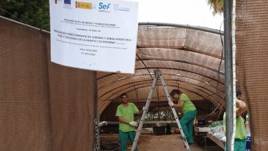 Photo of Alcantarilla tiene mil parados menos que antes de la pandemia