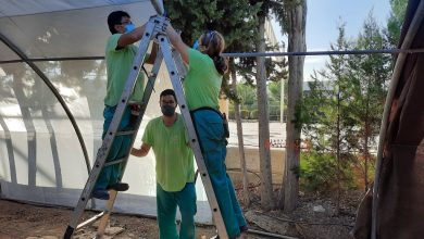 Photo of Quince alumnos terminan su formación como jardineros en el Museo de la Huerta