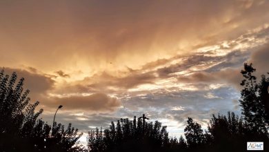 Photo of Vuelven las altas temprarutaras del invierno murciano con hasta 24 grados