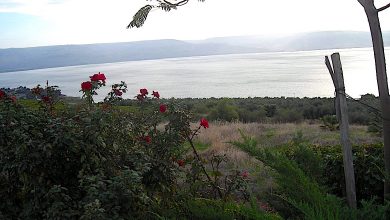 Photo of Reflexión dominical. La alegría del Reino en los pobres