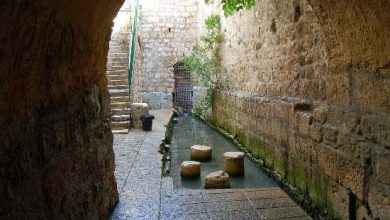 Photo of Reflexión dominical. Llamada contundente a la conversión