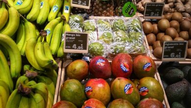 Photo of OCU alerta de la fuerte subida de precios de la fruta, legumbres y alimentos infantiles
