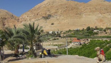 Photo of Reflexión dominical. Centrar la vida en Dios y no llegar a la tentación