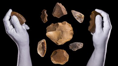Photo of ‘Ancestros’, una exposición para conocer cómo vivieron los neandertales en la Región de Murcia